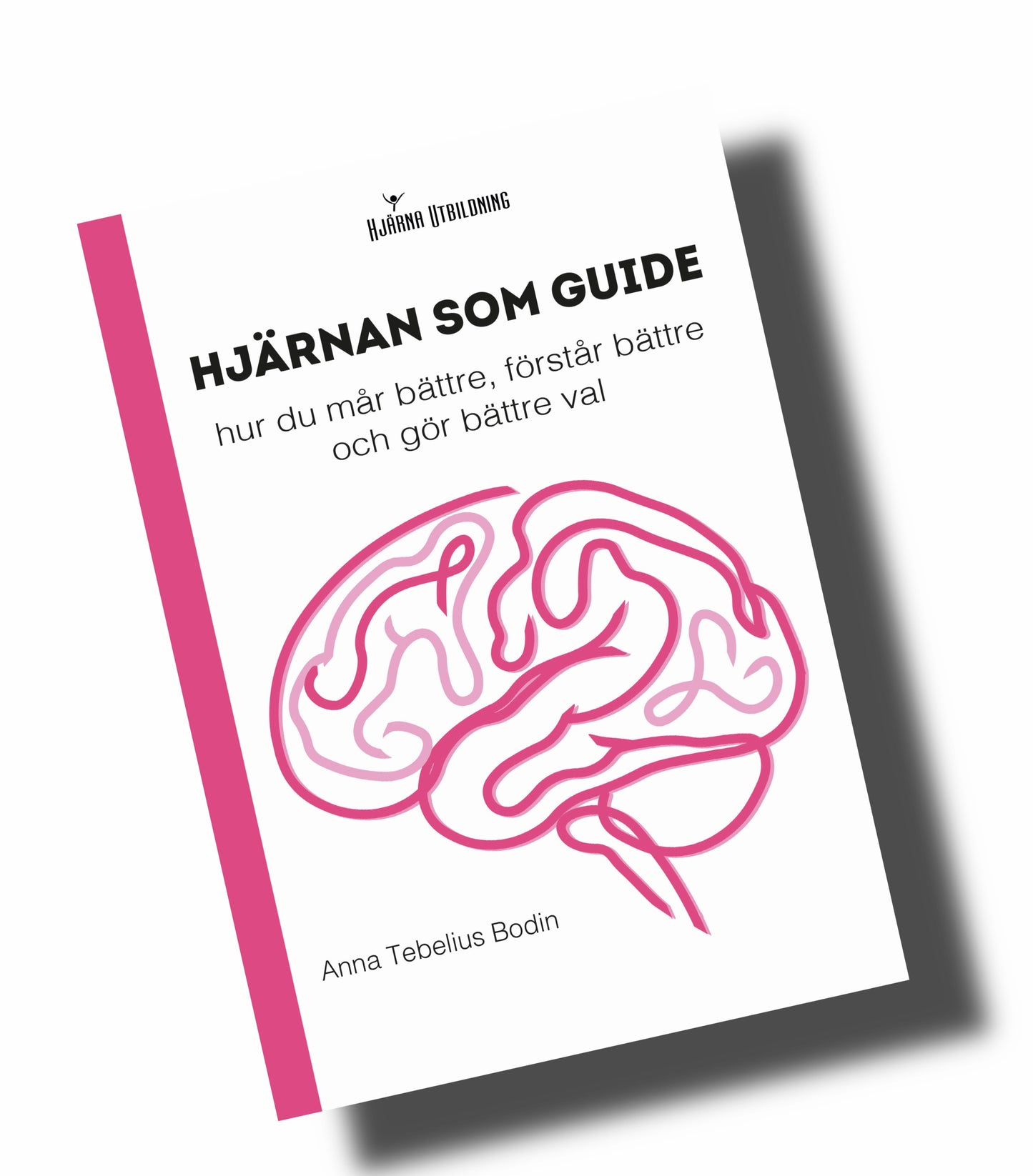 Hjärnan som guide