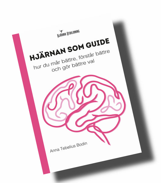Hjärnan som guide